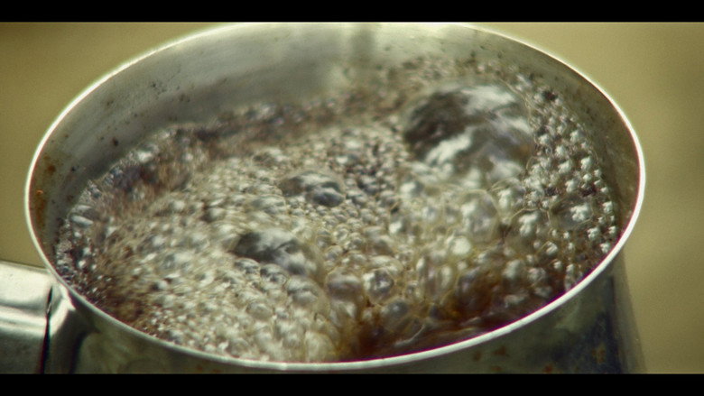 Pines still 2