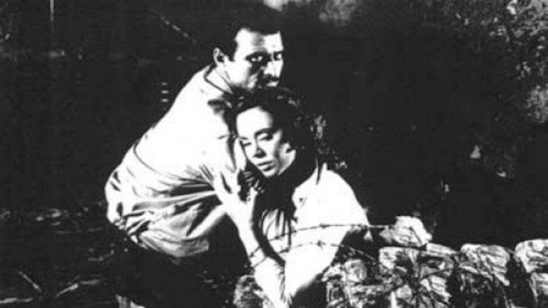 Jamila, the Algerian still 2