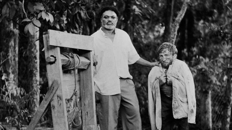 Poceiros still 1