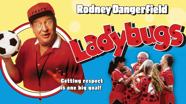 Ladybugs still 5