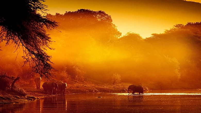Zambezi: Force of Life still 1