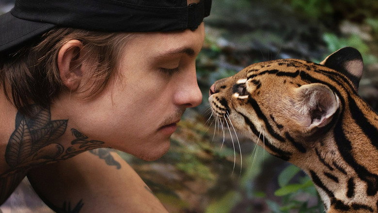 Wildcat still 2