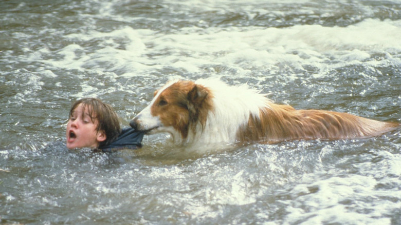 Lassie still 1