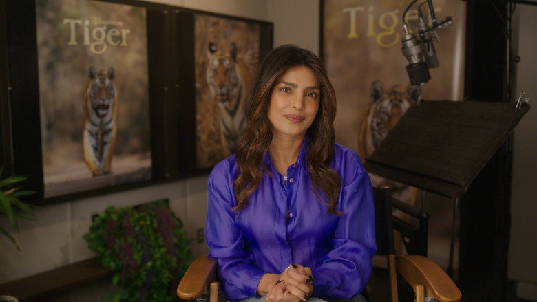 Tiger still 4