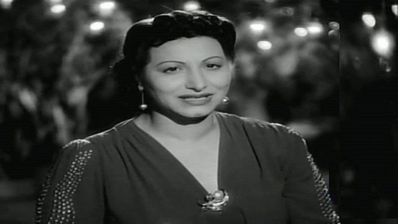 Hanan still 1