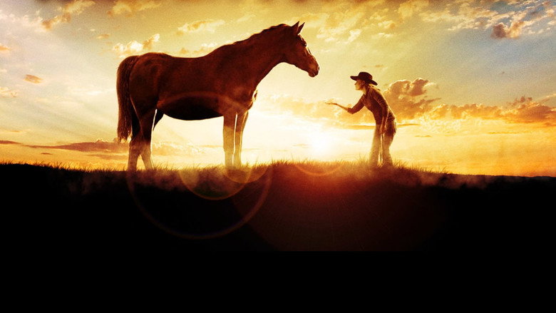The Wild Stallion still 2