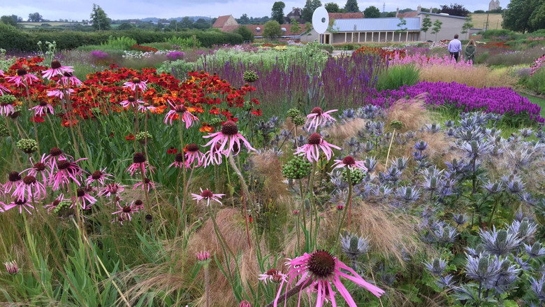 Five Seasons: The Gardens of Piet Oudolf still 3