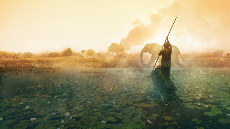 Into the Okavango still 1