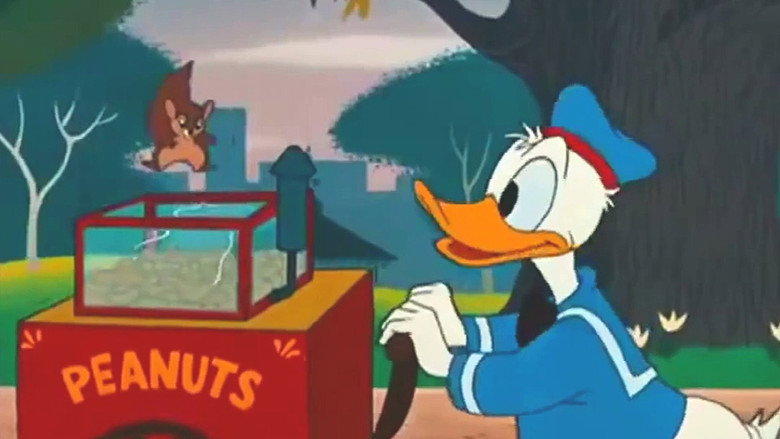 The Flying Squirrel still 1