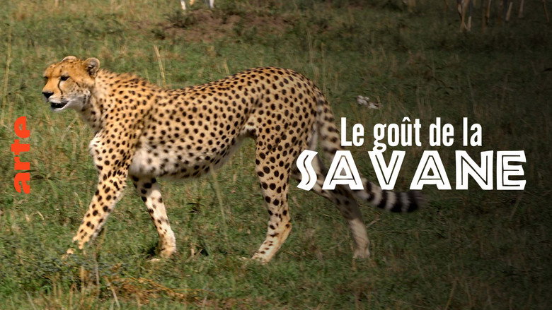 Le Goût de la savane : Herbivores et carnivores, festins croisés still 1