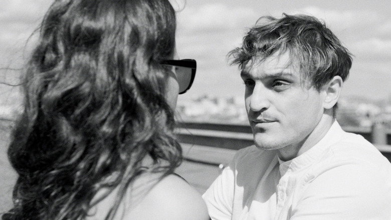 Figaros Wölfe still 1