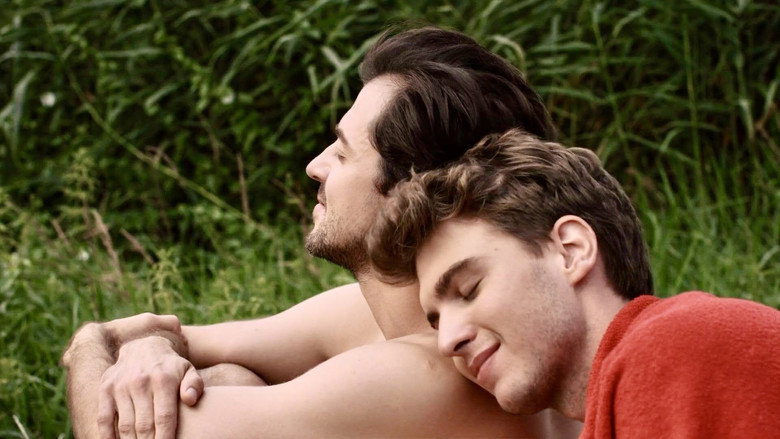 Red Yellow Pink still 8