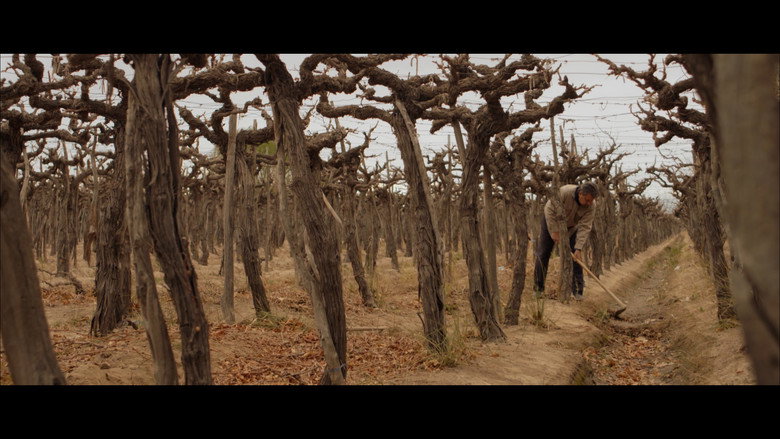 Wastelands still 1