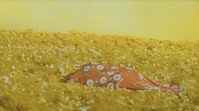 The Mad Fox still 6