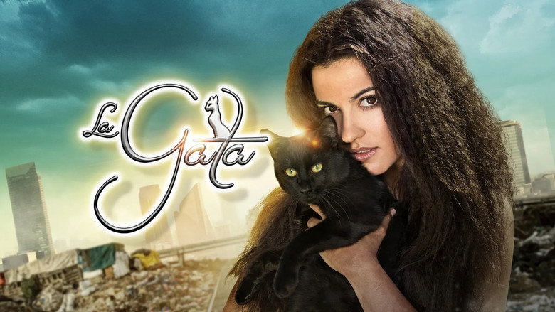 The Stray Cat still 5