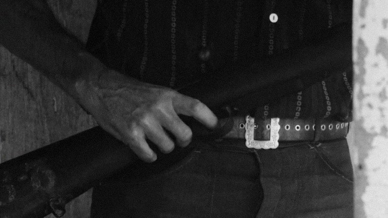 The Guns still 1