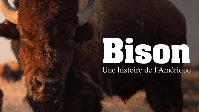 The American Buffalo still 6