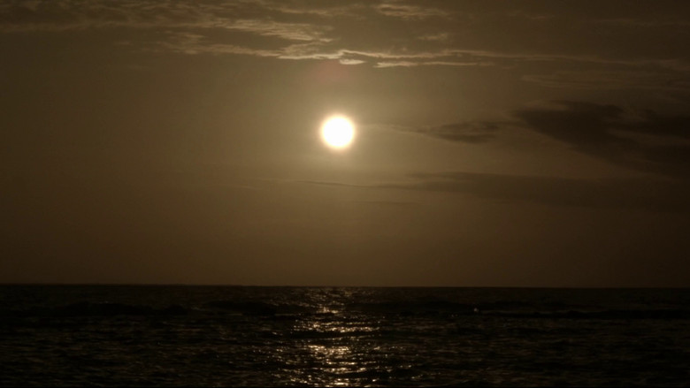 The Sea is History still 1