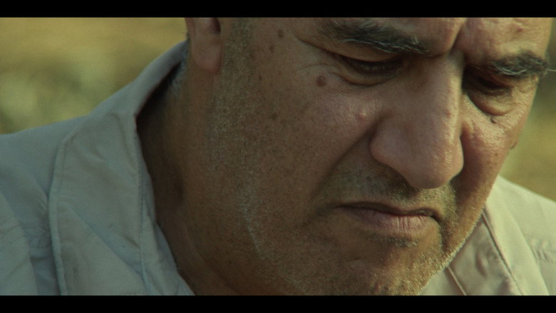 Pines still 3