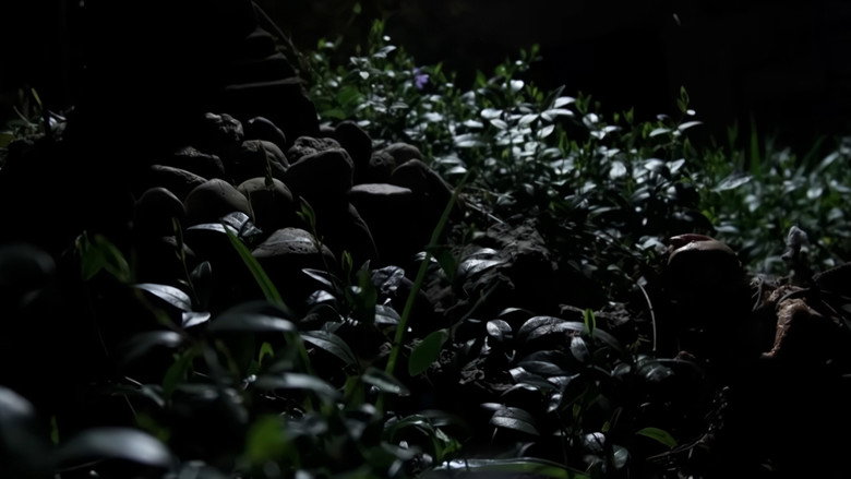 Gnome still 1