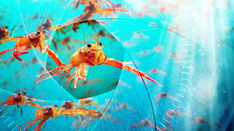 Spy in the Ocean, A Nature Miniseries still 1