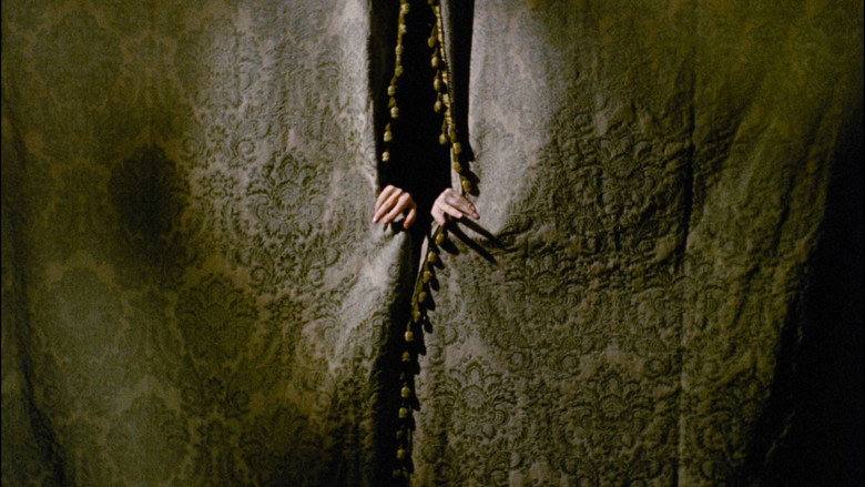 Mill of the Stone Women & The Gothic Body still 6