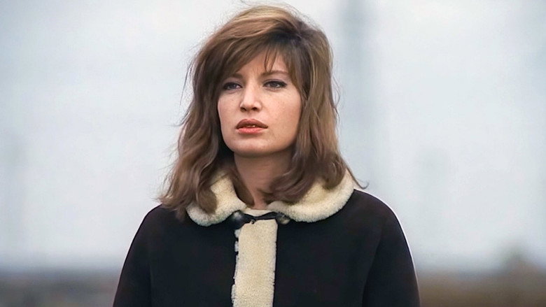 Monica Vitti, die Königin des italienischen Films still 6