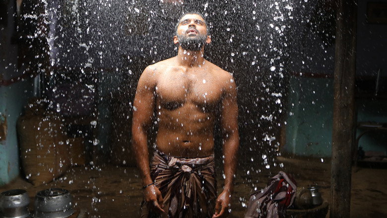 Bison Kaalamaadan still 4
