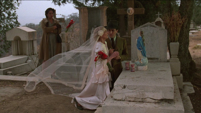 Deep Crimson still 3