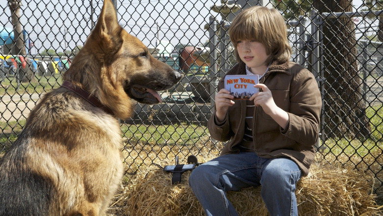 Cool Dog still 3