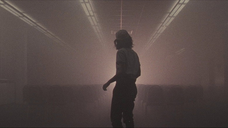 Luz still 1