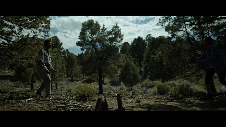 Echoes still 5