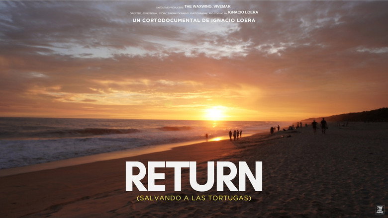 Return: Saving Turtles still 2