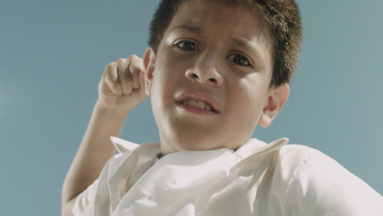 Kite still 1