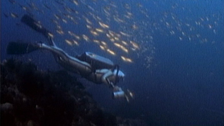 Jacques Cousteau: Rediscover the World | New Zealand, Tahiti, Cuba, & Cape Horn still 3