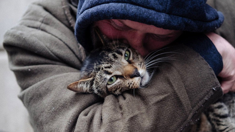 Cat Daddies still 1