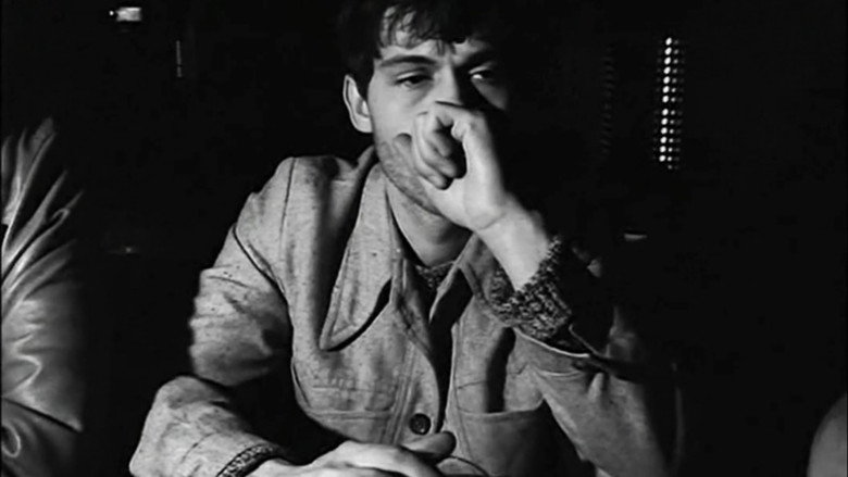 Cicuta still 5