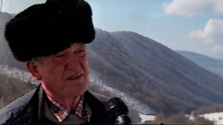 Ștei still 1