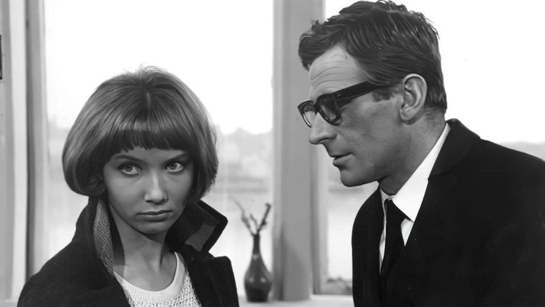 Beata still 6