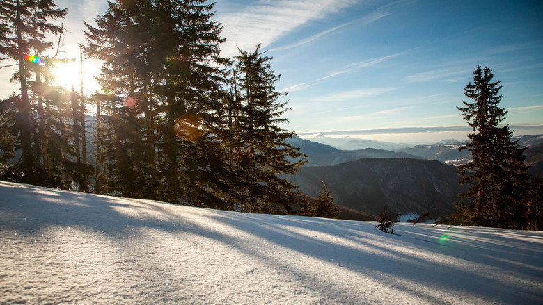 Untamed Romania still 4