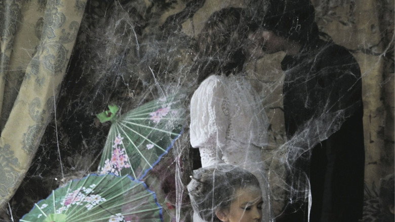 The Sleeping Beauty still 4