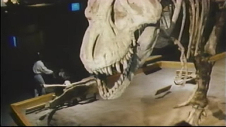 The Real Jurassic Park still 1