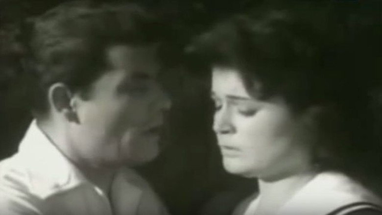 Bufakkar filli nassini still 1