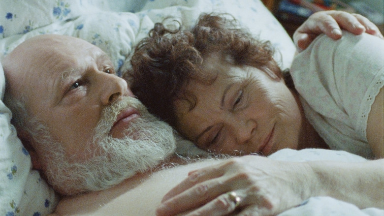 Volcano still 3