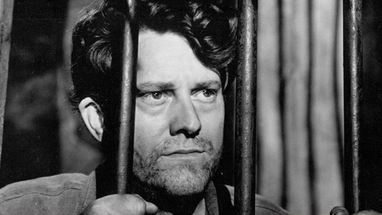 Jack London still 4