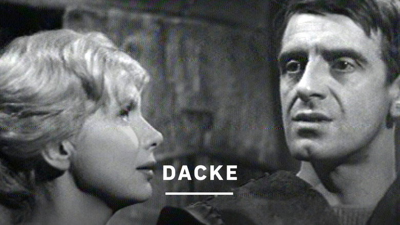 Dacke still 2