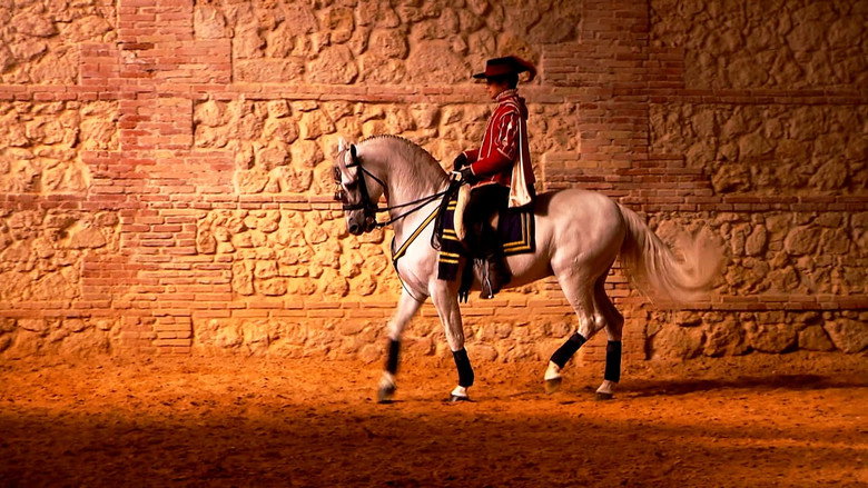 Horse of Kings, Thief of Hearts still 1