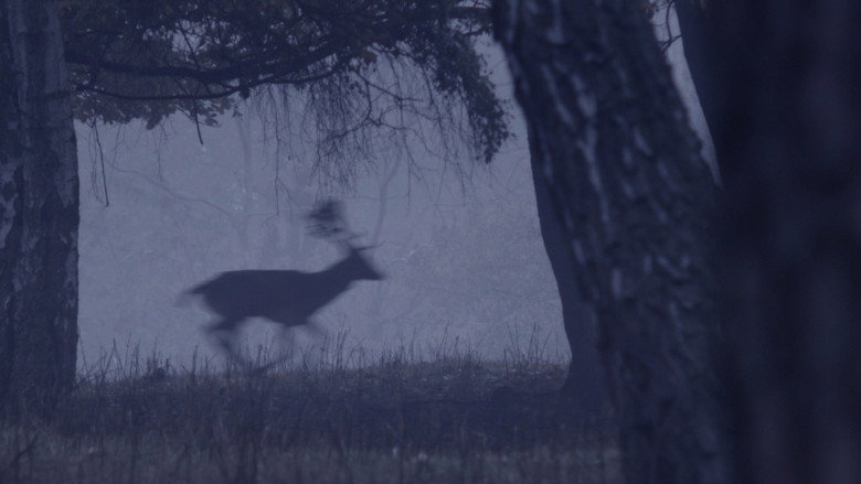 Deer Boy still 5