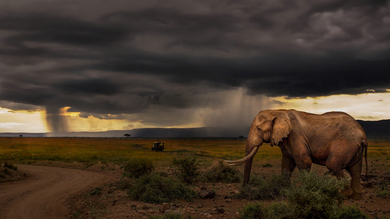 Chasing the Rains still 2