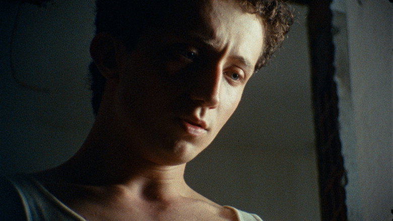Kràlik still 2